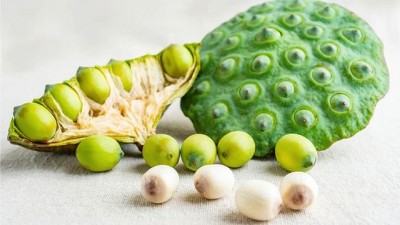 Giá trị dinh dưỡng và 5 lợi ích sức khỏe bất ngờ từ hạt sen - Máy sấy hạt ngũ cốc đa năng Ánh Dương