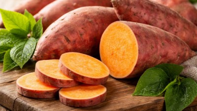 Khoai lang tốt cho sức khỏe nhưng ăn thế nào mới có lợi? - Máy sấy nông sản đa năng Ánh Dương