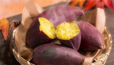 Tác dụng của vỏ khoai lang không nên bỏ qua - Máy sấy Nông sản đa năng Ánh Dương