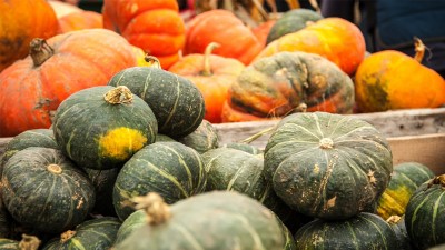 10 tác dụng của bí ngô đối với sức khỏe bạn nên biết - Máy sấy Nông sản Ánh Dương