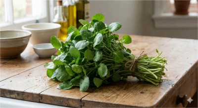 Rau cải xoong có tác dụng gì? Máy sấy nông sản đa năng Ánh Dương