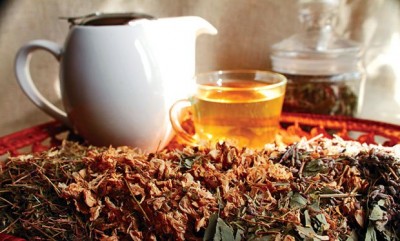 4 loại trà thảo mộc nên uống hàng ngày - Máy sấy thảo mộc đa năng Ánh Dương