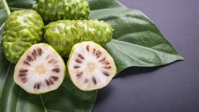 Quả nhàu có tác dụng gì? 11 công dụng của trái nhàu với sức khoẻ