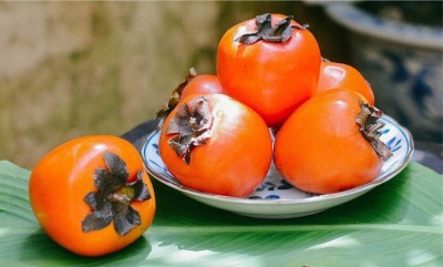 Ăn hồng nhiều có tốt không? Lưu ý ăn hồng đúng cách - Máy sấy Hồng dẻo Ánh Dương
