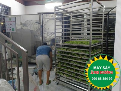 Máy sấy Bơm Nhiệt (Lạnh) AD9  full inox Ánh Dương thumb