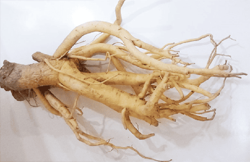 2611543013091 photo 1763888387490 1763888388 01