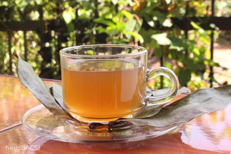 Công dụng trà mãng cầu xiêm - Máy sấy trà Ánh Dương
