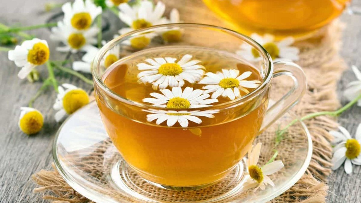 Trà hoa cúc - 9 tác dụng thần kỳ cho sức khỏe người Việt - Máy sấy trà hoa đa năng Ánh Dương