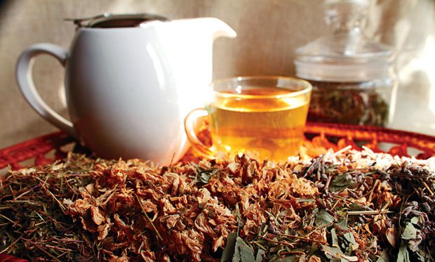 4 loại trà thảo mộc nên uống hàng ngày - Máy sấy thảo mộc đa năng Ánh Dương