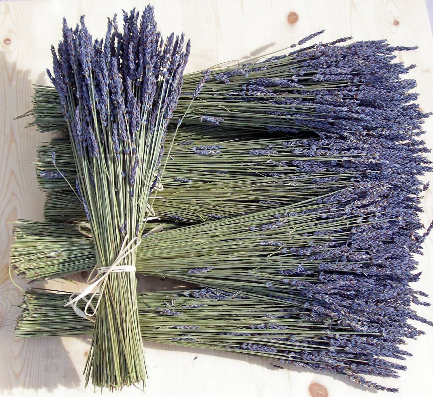 Công dụng của hoa Lavender sấy khô Đà Lạt