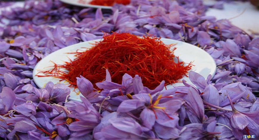 Hướng dẫn sơ chế và bảo quản bột nhụy hoa nghệ tây saffron