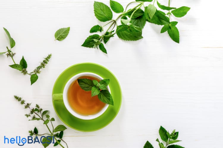 Công dụng trà bạc hà tốt cho sức khỏe - Máy sấy trà Đa Năng Ánh Dương